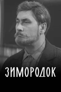 Зимородок бесплатно